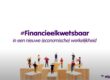 Financieel kwetsbaar